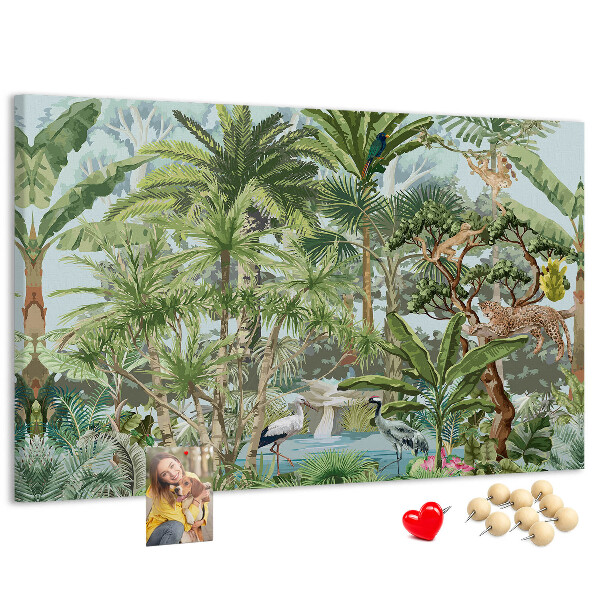 Cork board Nature jungle wildlife
