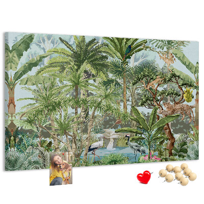 Cork board Nature jungle wildlife