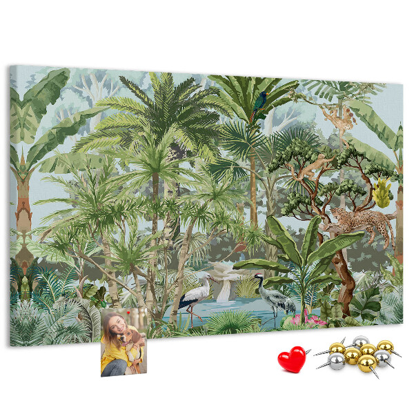 Cork board Nature jungle wildlife