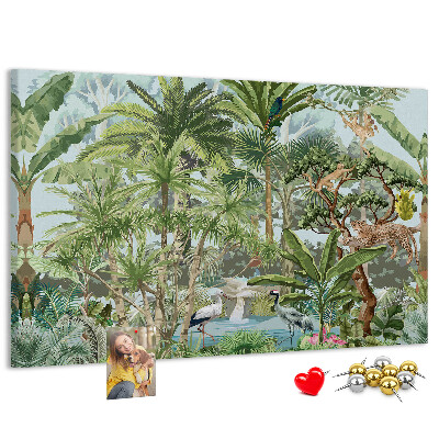 Cork board Nature jungle wildlife