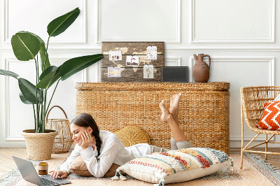 Cork board Wooden board world map