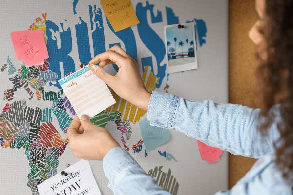 Cork display board Textual world map