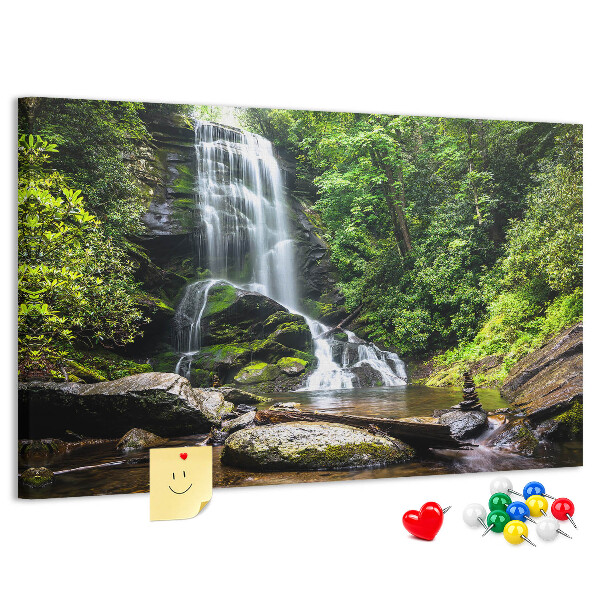 Cork board Waterfall forest