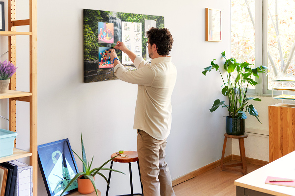 Cork board Waterfall forest