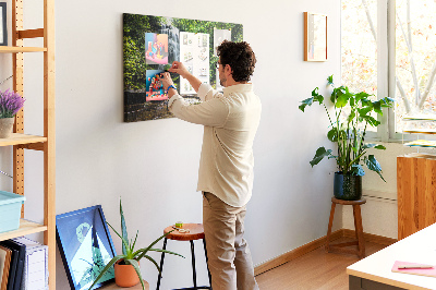 Cork board Waterfall forest