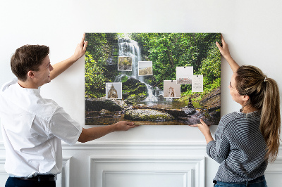 Cork board Waterfall forest