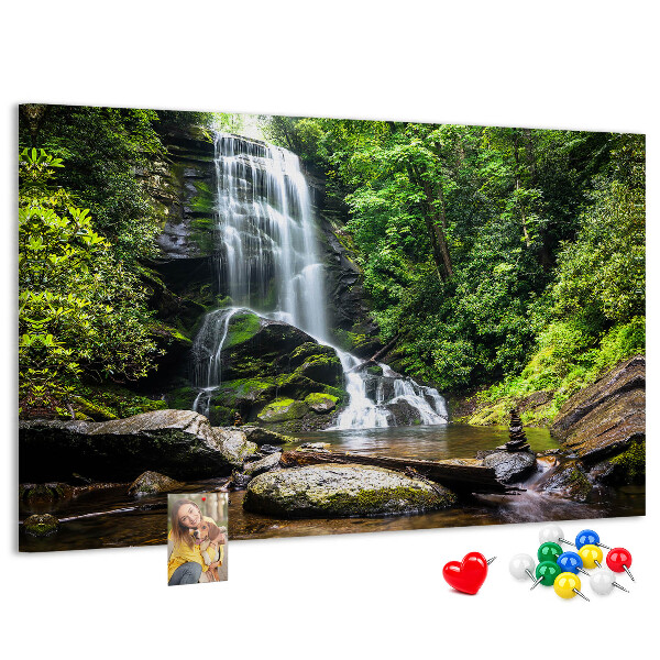 Cork board Waterfall forest