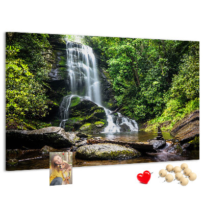 Cork board Waterfall forest