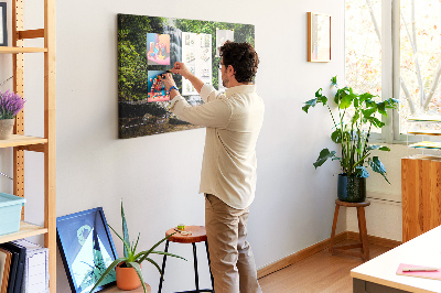 Cork board Waterfall forest