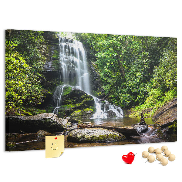 Cork board Waterfall forest