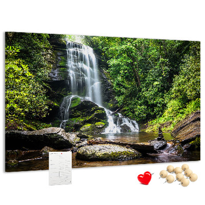 Cork board Waterfall forest