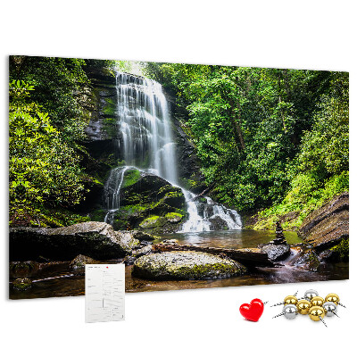 Cork board Waterfall forest