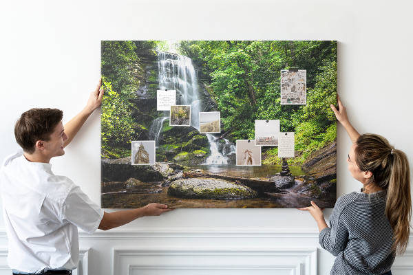 Cork board Waterfall forest