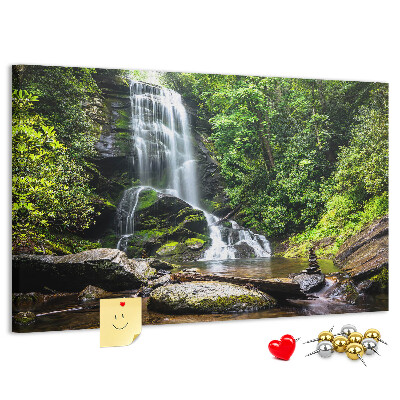 Cork board Waterfall forest