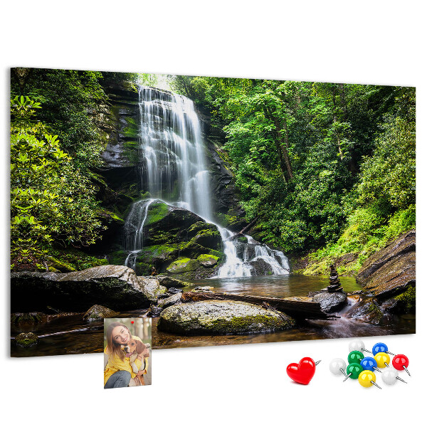 Cork board Waterfall forest