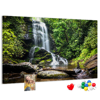 Cork board Waterfall forest