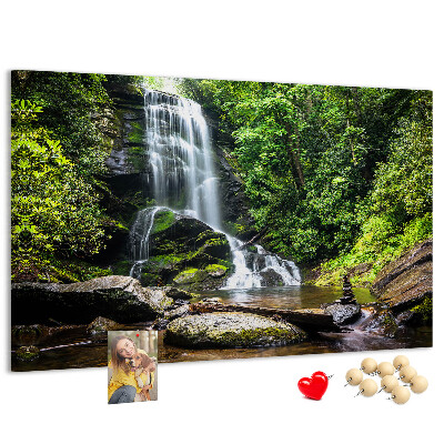 Cork board Waterfall forest