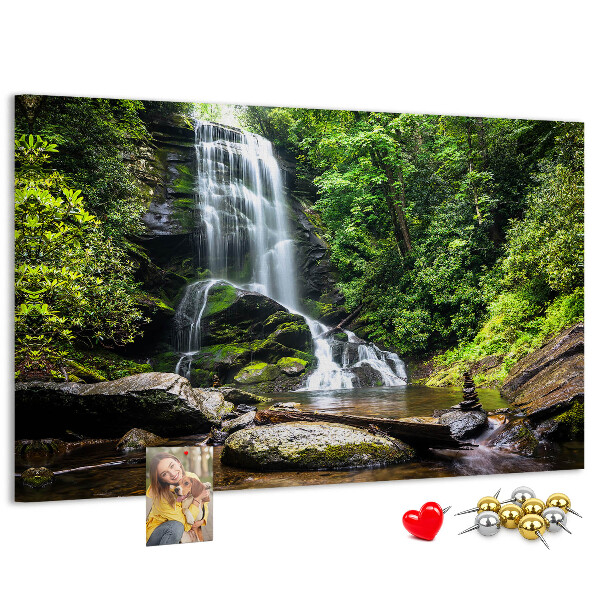 Cork board Waterfall forest