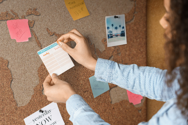 Cork memo board Cork world map
