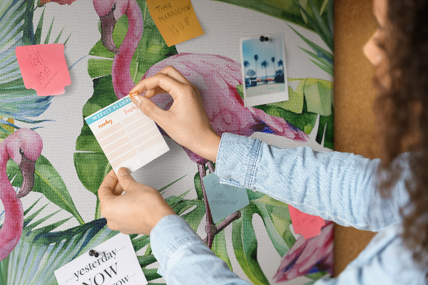 Cork board Nature flamingos