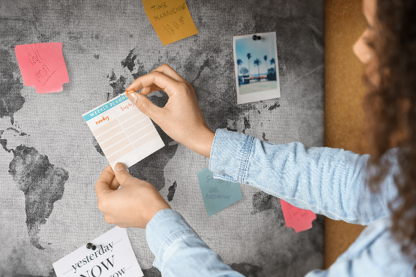 Cork memo board World map
