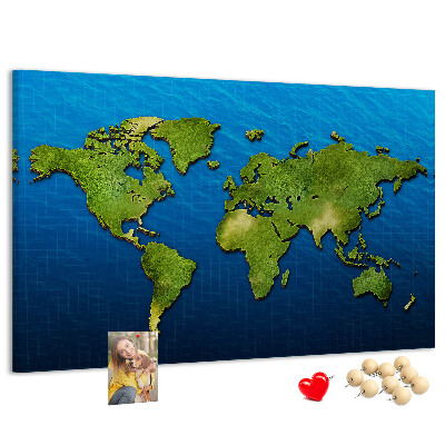 Cork memo board World map