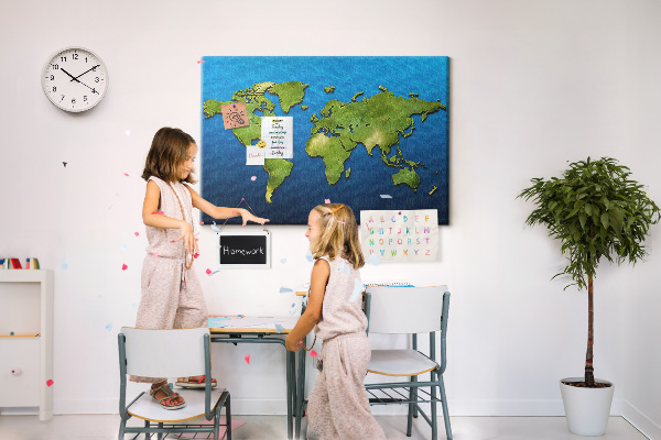 Cork memo board World map
