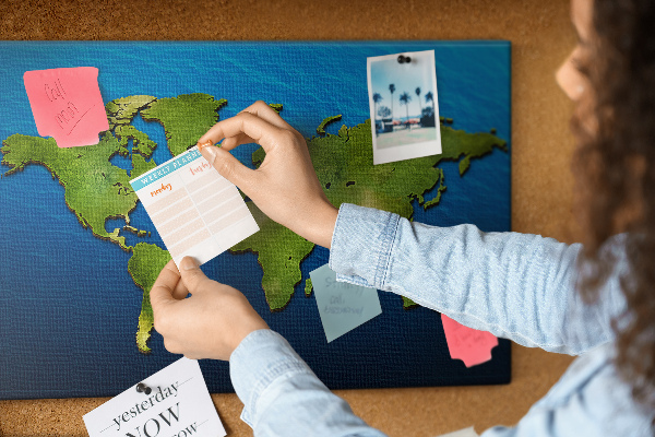 Cork memo board World map