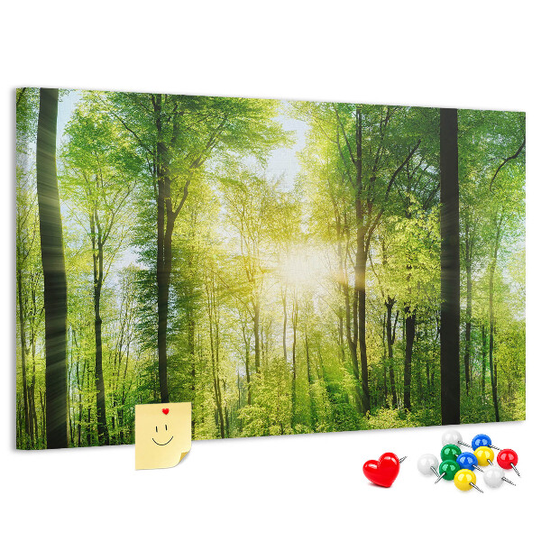 Cork display board Nature forest trees