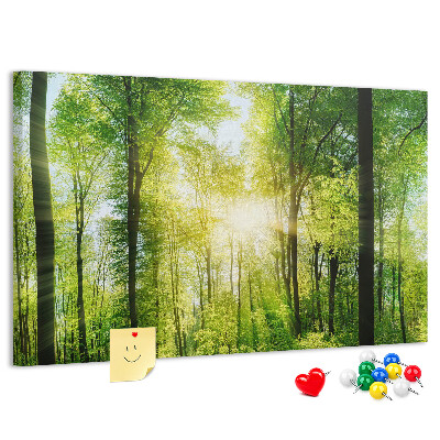 Cork display board Nature forest trees