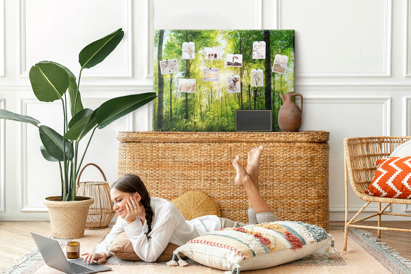 Cork display board Nature forest trees