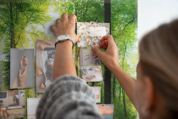 Cork display board Nature forest trees