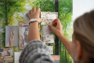 Cork display board Nature forest trees