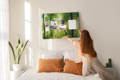 Cork display board Nature forest trees