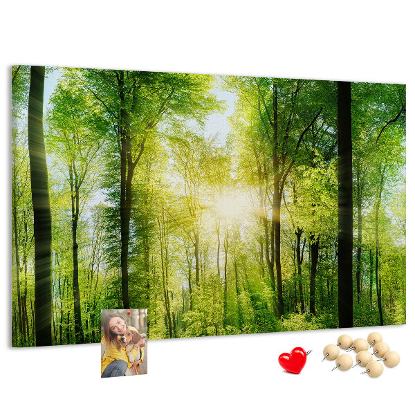 Cork display board Nature forest trees