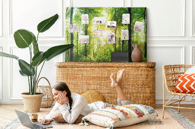 Cork display board Nature forest trees