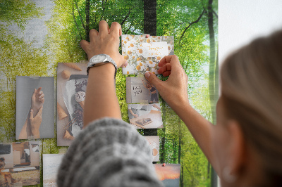 Cork display board Nature forest trees