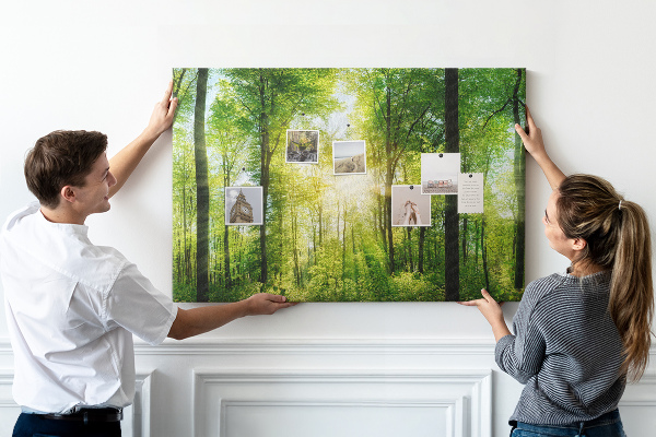 Cork display board Nature forest trees