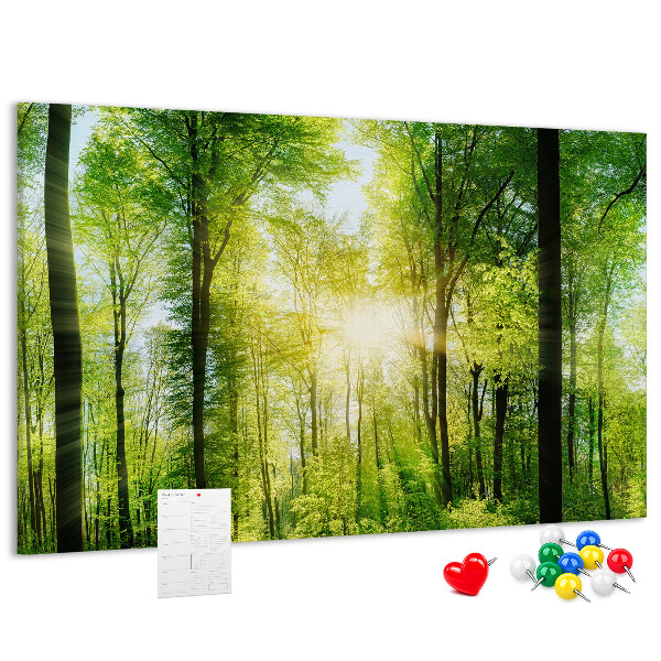 Cork display board Nature forest trees