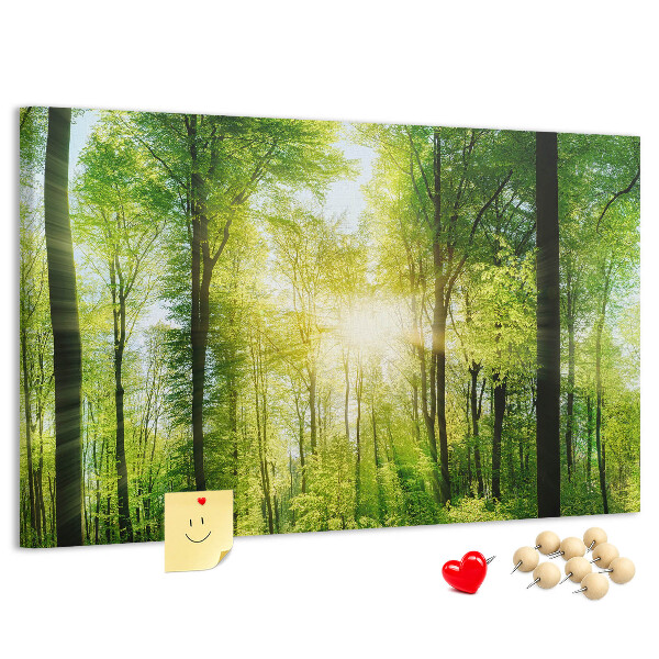 Cork display board Nature forest trees