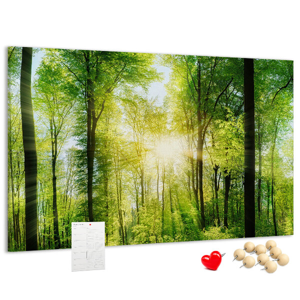 Cork display board Nature forest trees