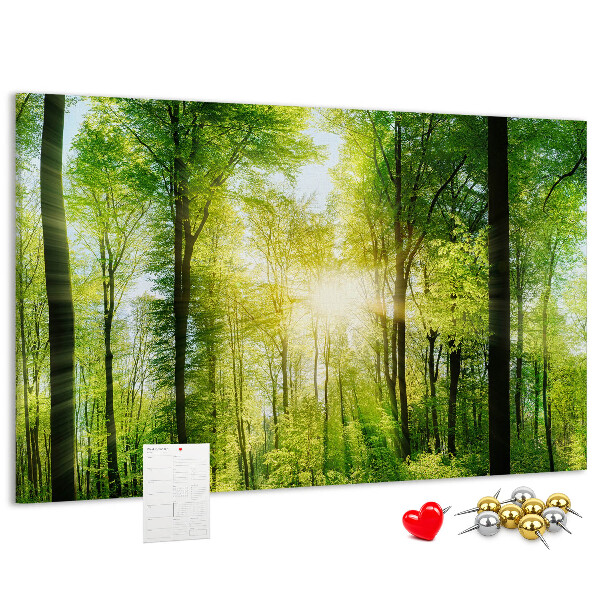 Cork display board Nature forest trees