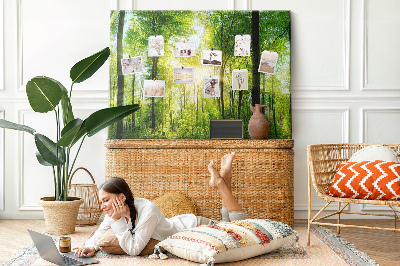 Cork display board Nature forest trees