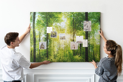Cork display board Nature forest trees