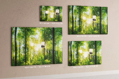 Cork display board Nature forest trees