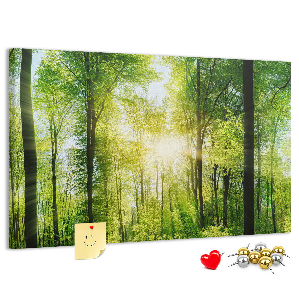Cork display board Nature forest trees