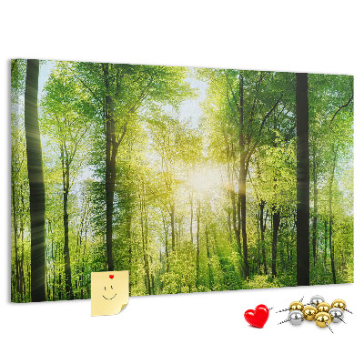 Cork display board Nature forest trees