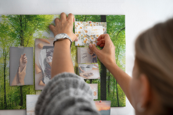 Cork display board Nature forest trees