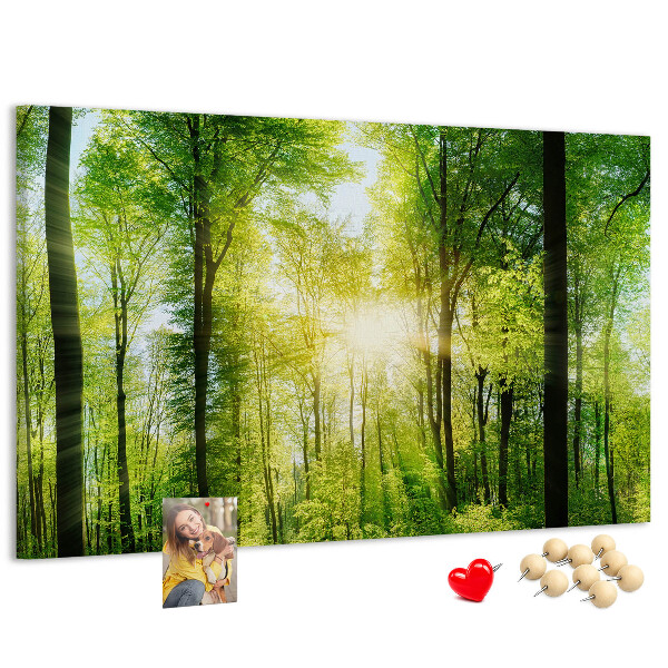 Cork display board Nature forest trees