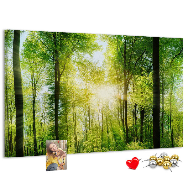 Cork display board Nature forest trees